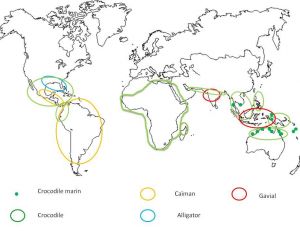 Carte de répartition des crocodiliens dans le monde