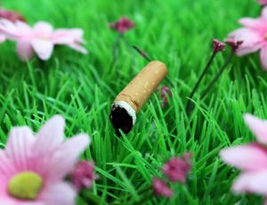 Cigarette : et si à chaque mégot jeté par terre une plante poussait ? / iStock.com - HansChris