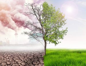 Climat et environnement : le rapport du GIEC balayé par l'actualité / iStock.com - angkhan