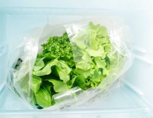 Comment conserver une salade fraîche plus longtemps ? / Istock.com - somkku
