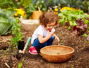 Conseils et astuces pour jardiner avec son enfant en hiver / iStock.com - kupicoo