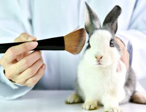 Cosmétiques : vers la fin des tests sur les animaux ? / iStock.com - Artfully79