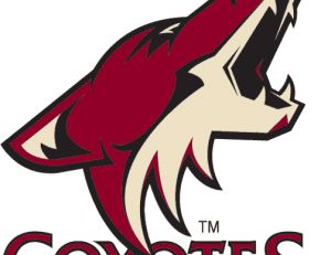 En attendant, les coyotes de Phoenix brillent dans le championnat nord-américain de hockey sur glace, la NHL.