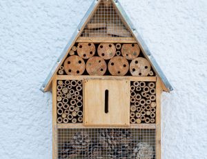 Créez votre propre hôtel à insectes : un refuge pour la biodiversité dans votre jardin