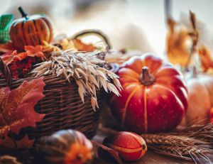Cuisine : quelles sont les recettes de novembre ? / Istock.com - GMVozd