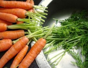 Cuisiner les fanes de carottes