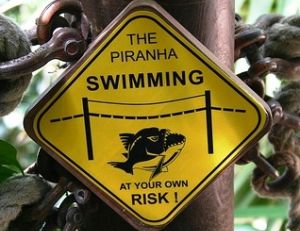 Attention piranhas, à vos propres risques