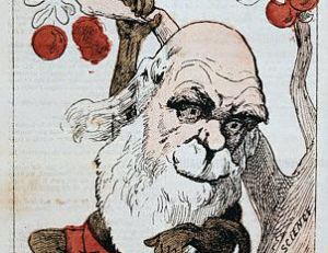 Darwin représenté en singe, descendant l’arbre de la science