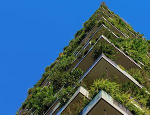 Des jardins urbains sur les toits : les villes se mettent au vert