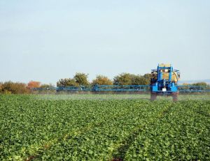 Des pesticides interdits en France depuis 20 ans toujours présents / iStock.com - esemelwe
