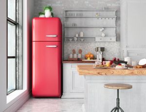 DIY : comment donner une seconde vie à votre réfrigérateur avec un coup de peinture ? / iStock.com - asbe