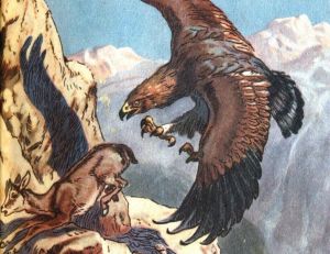 Couverture du Chasseur Français des années 50 représentant un aigle chassant un jeune chamois sur une vire