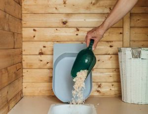 Écolos, sans odeur et plus hygiéniques : les toilettes sèches, l'avenir des sanitaires ? / iStock.com - SolStock