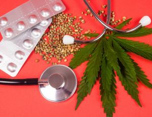Emploi : le cannabis thérapeutique ouvre de nouveaux débouchés / iStock.com - morisfoto