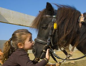 Initier ses enfants à l'équitation