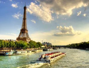 Environnement : l'abattage d'arbres centenaires au pied de la tour Eiffel fait polémique