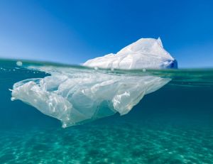 Environnement : la lutte internationale contre les sacs plastiques / iStock.com - lindsay_imagery