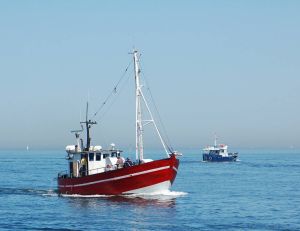 Europe : des surpêches importantes en Méditerranée, mer Noire et mer Baltique / iStock.com - hsvrs