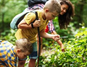 Explorer la nature avec ses enfants : les bienfaits de cette activité