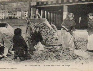 Granville au début du 20e siècle, les femmes s’apprêtent à séparer la « viande » des huîtres des coquilles