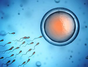 Fertilité : et si on testait la qualité du sperme grâce à son smartphone ? / iStock.com - koya79