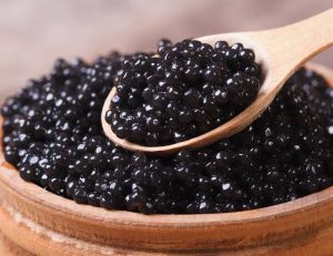 Le caviar : Le nouvel or noir de Madagascar ?/ iStock.com - ALLEKO