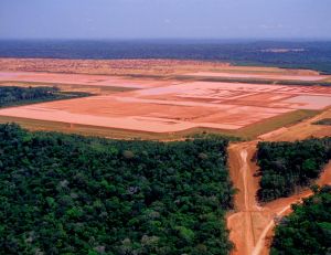 Amazonie : Sa déforestation a augmenté de 88% en un an / iStock.com - luoman