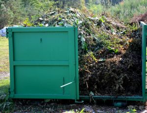 Jardinage : comment se débarrasser de ses déchets verts ? / iStock.com - beekeepx