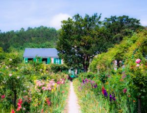 Jardiner en harmonie avec la nature : des astuces ecologiques pour un jardin florissant