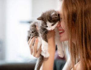 Je dorlote mon chat comme un bébé, c'est grave docteur ? / iStock.com - SolStock