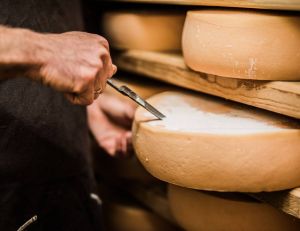 Job de rêve : devenir testeur de fromages / Istock.com - DjelicS