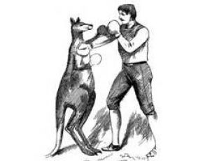 Au début du 20e siècle, des combats de boxe entre kangourous et hommes passionnaient les foules.