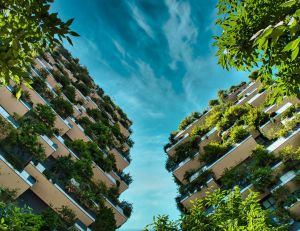 L’écologie urbaine : un pari d'avenir pour la biodiversité / iStock.com - Balazs Sebok