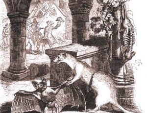 Gravure allemande du 19ème siècle illustrant la fable de la Fontaine « La chauve-souris et les deux belettes »