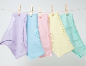 La culotte menstruelle, pour allier confort et écologie pendant vos règles / iStock.com - Olga Vaskevich