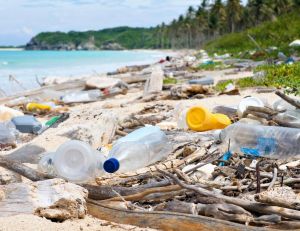 La fin du plastique : quels produits jetables sont désormais interdits ? / iStock.com - apomares