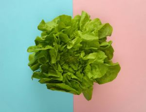 La salade en sachet séduit de plus en plus les Français / iStock.com - Marccophoto