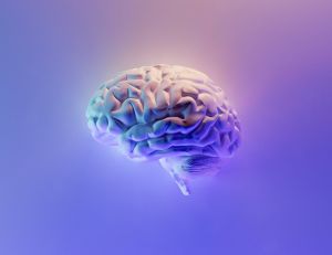 Le neurofitness : entraîner son cerveau pour une meilleure santé mentale