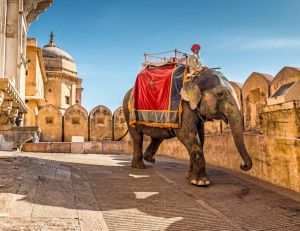 Le Rajasthan, une destination aux mille saveurs / Istock.com - AlpamayoPhoto