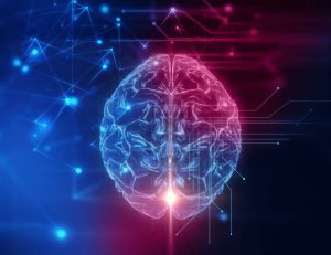 Maladie d'Alzheimer : les bienfaits d'un régime cétogène sur le cerveau / iStock.com-monsitj