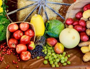 Manger de saison : quels aliments consommer en octobre ? / Istock.com - photovs