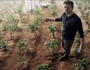 Matt Damon cultivant des pommes de terre dans le film Seul sur Mars
