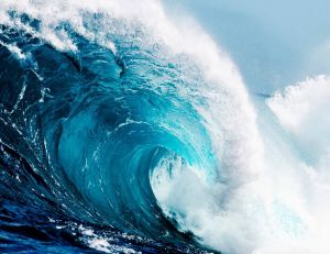 Mers et océans : comment les protéger ? / iStock.com - shannonstent