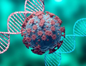 Mutations, génome et cycles : mais qu'est-ce qu'un variant ? / iStock.com - Gilnature
