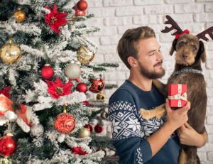 Noël canin : sous le sapin, n'oubliez pas votre chien / iStock.com-svetikd