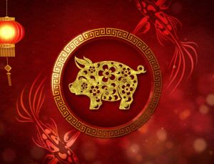 Nouvel an chinois : l'année du cochon de terre / iStock.com - LV4260