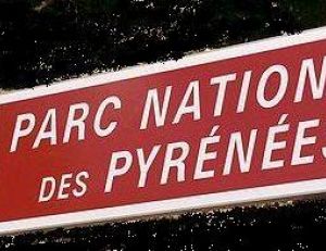 Tous les ours pyrénéens ne sont pas dans le Parc National des Pyrénées