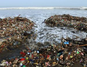 Plasticroûte : Une forme de pollution marine/istock.com-Yamtono_Sardi