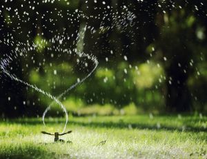 Politique de l'eau : comment le pays peut se préparer à la sécheresse ? / iStock.com - oxign