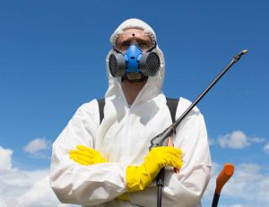 Pollution aux pesticides : qu'est-ce que le chlordécone ? / iStock.com - hedgehog94